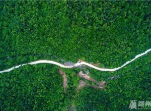 �����S�h�ĝM���[���ؾ��������f��ɽ��Ϫ��