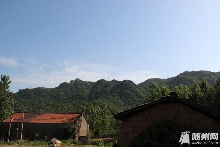 005616lcpvtsvcnulwpltn_jpg_thumb.jpg 005616lcpvtsvcnulwpltn_jpg_thumb.jpg