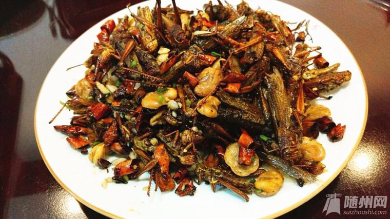 webwxgetmsgimg (22)_����.jpg